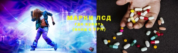 стафф Гусев