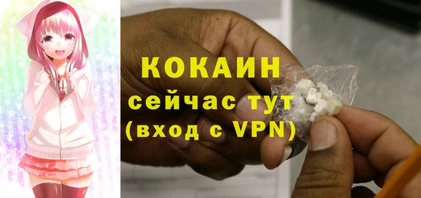 стафф Гусев
