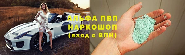 стафф Гусев