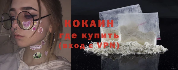 стафф Гусев