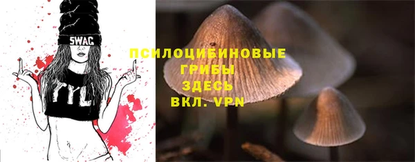 а пвп мука Гусиноозёрск