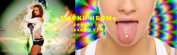 стафф Гусев