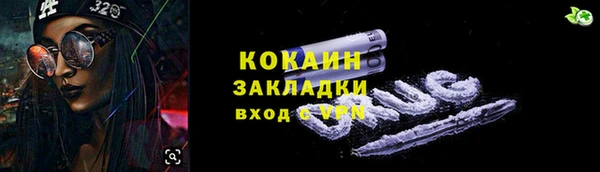 стафф Гусев
