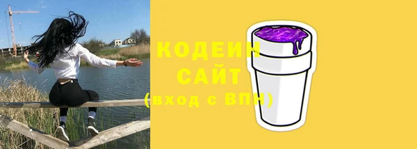 стафф Гусев