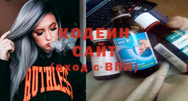 стафф Гусев