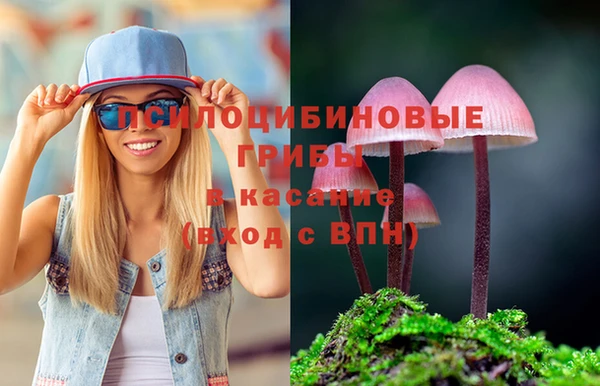 крисы Гусь-Хрустальный