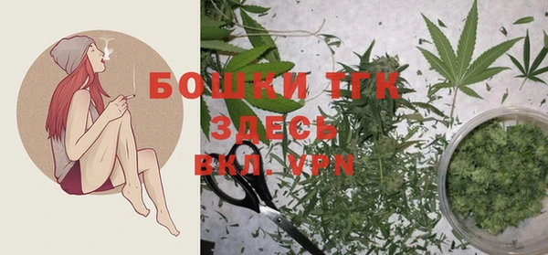 крисы Гусь-Хрустальный