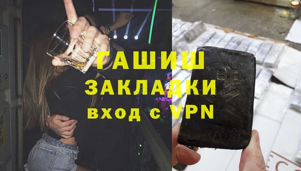 стафф Гусев