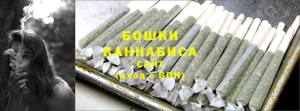 стафф Гусев