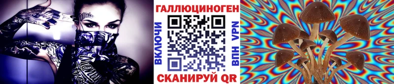 Купить закладки Очёр Псилоцибиновые грибы мицелий